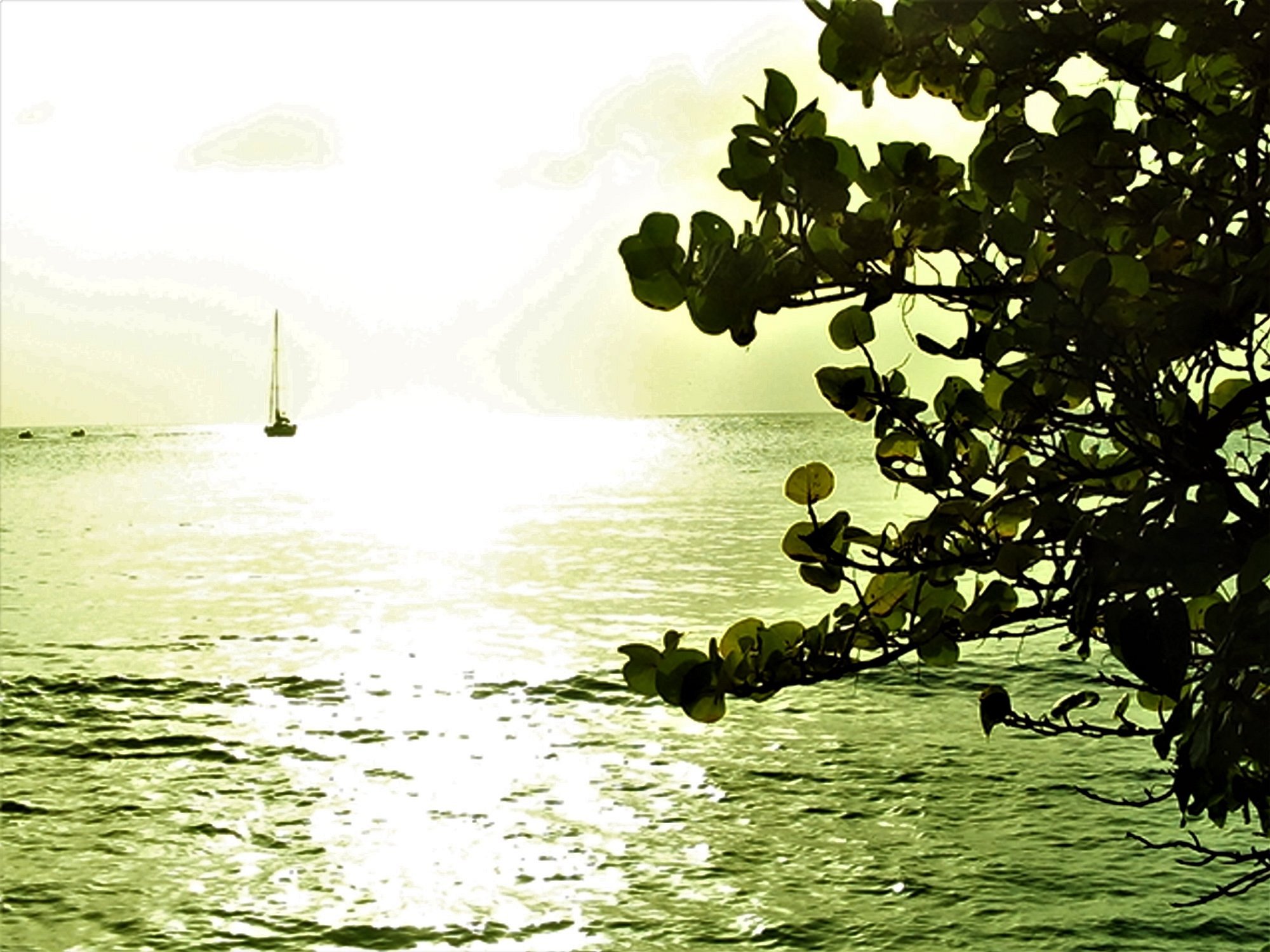 Store Bay - Image 3